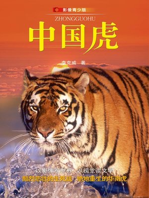 cover image of 中国虎影像青少版 (The Chinese Tiger)